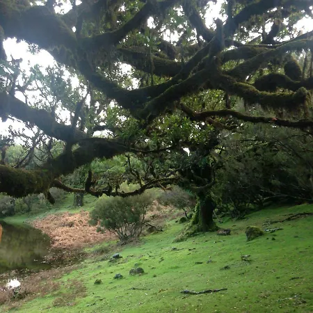 Janela O Atlantico *