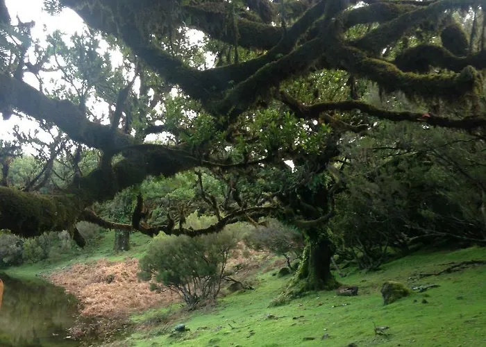 Janela O Atlantico 3*